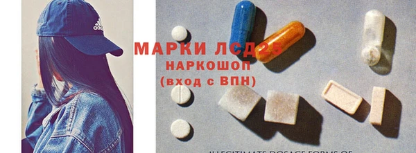 гидра Арсеньев