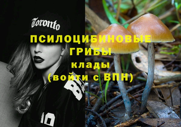 гидра Аркадак