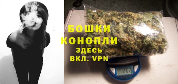 гидра Аркадак