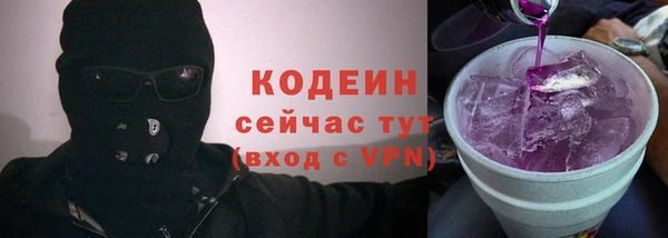 гидра Арсеньев