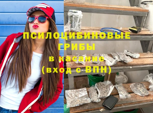 гидра Арсеньев