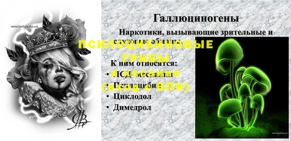 гидра Аркадак
