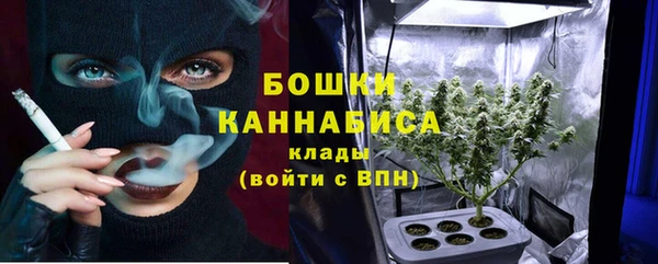 гидра Аркадак