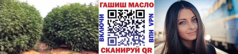 Дистиллят ТГК концентрат  Купить закладки  Кубинка 